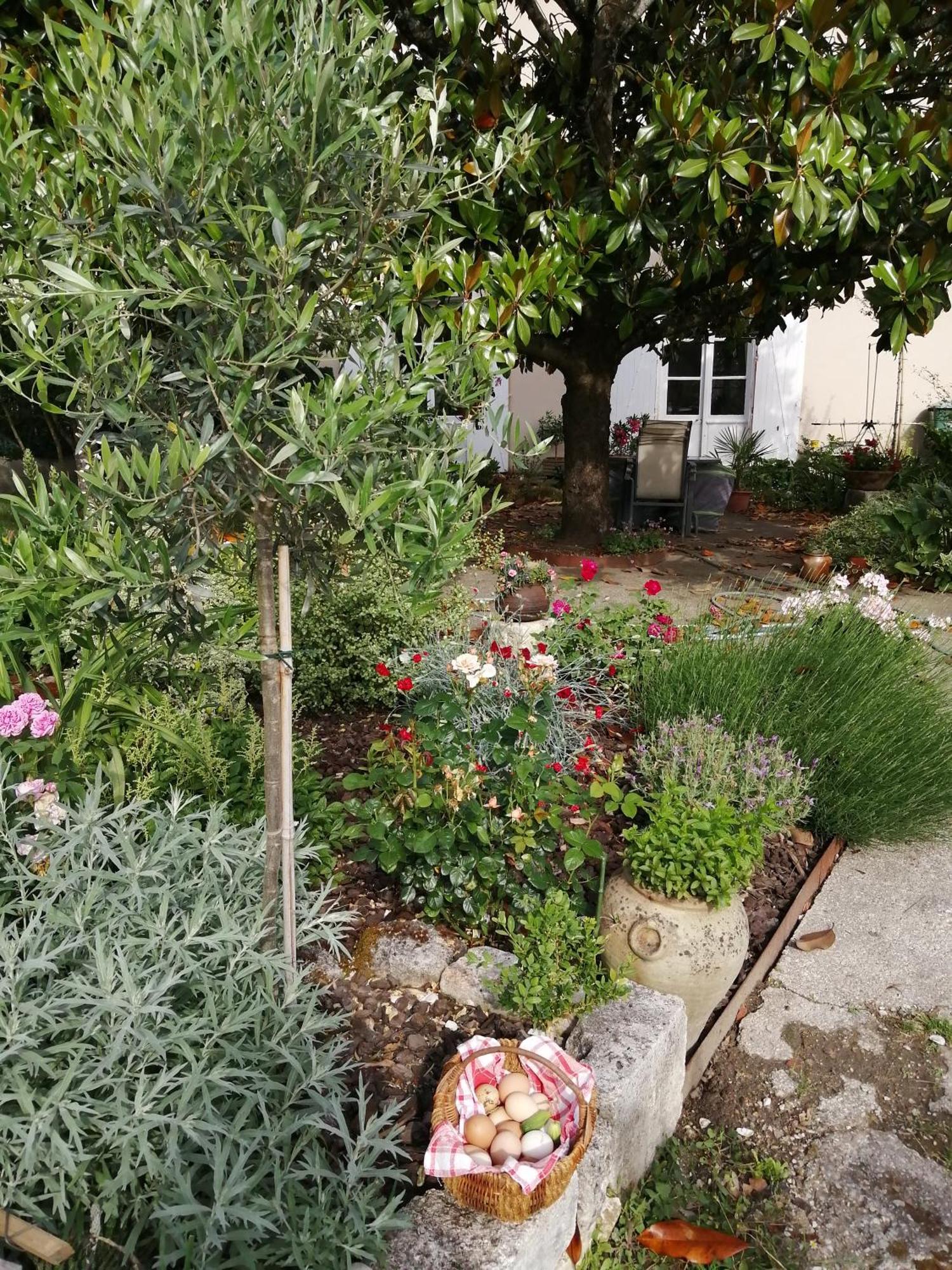 Bed and Breakfast Au Logis De Vechillot Angoulême Zewnętrze zdjęcie