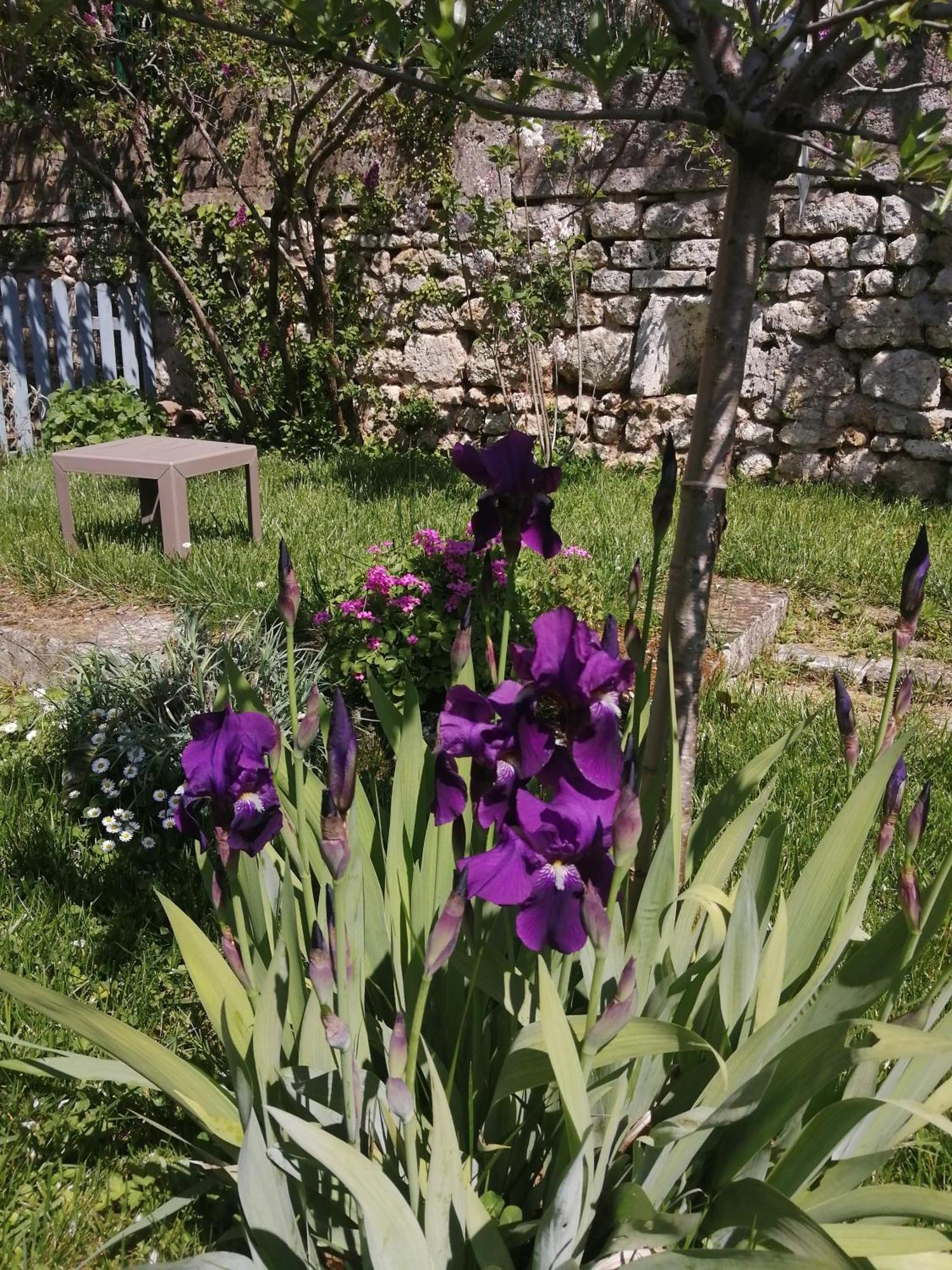 Bed and Breakfast Au Logis De Vechillot Angoulême Zewnętrze zdjęcie