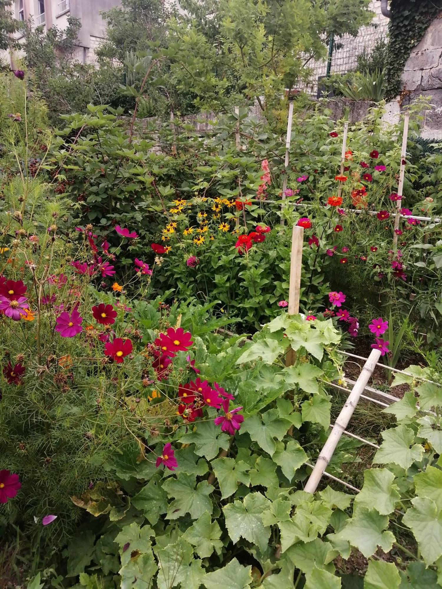Bed and Breakfast Au Logis De Vechillot Angoulême Zewnętrze zdjęcie
